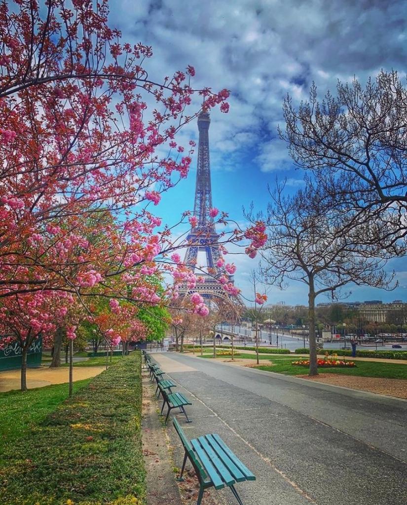 Tour Eiffel au printemps