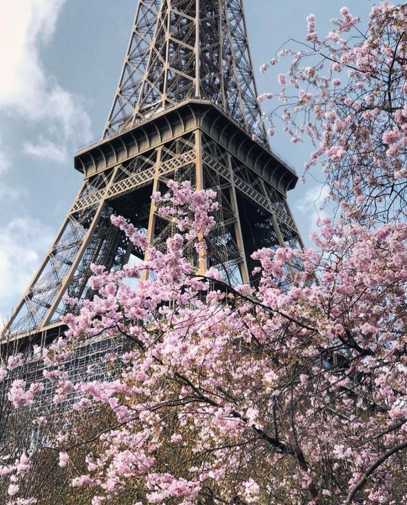 Tour Eiffel au printemps