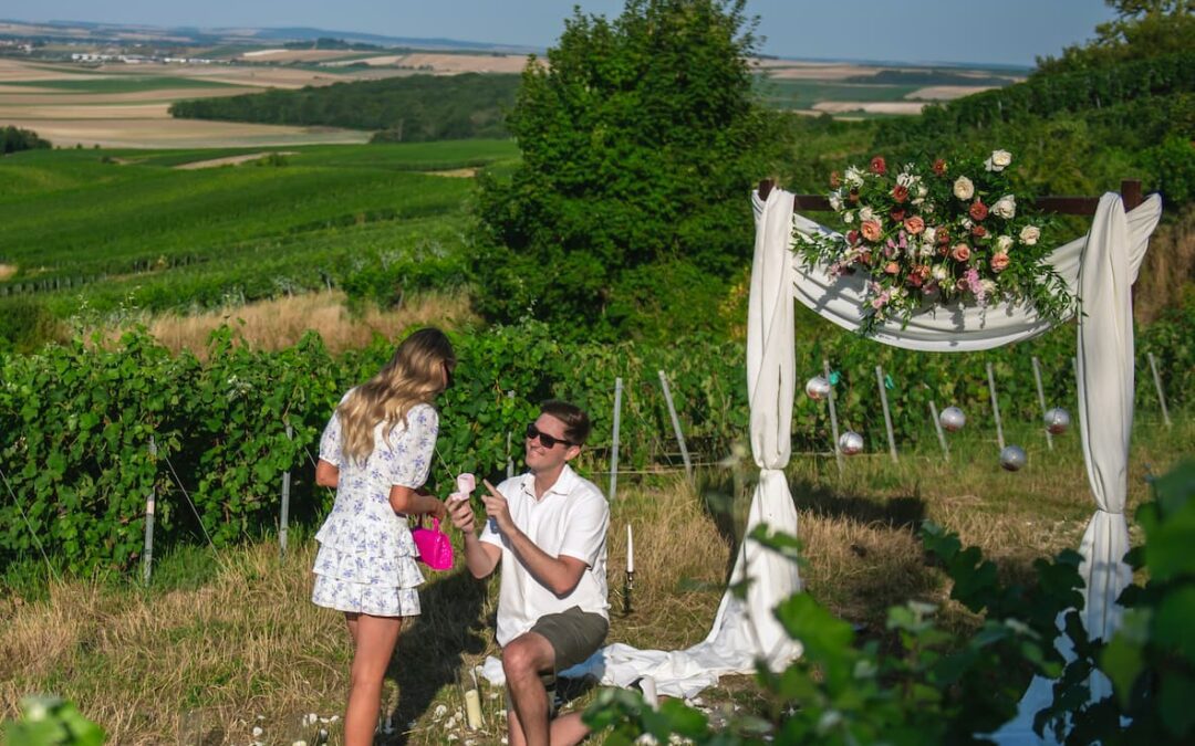 demande en mariage vignes en Champagne