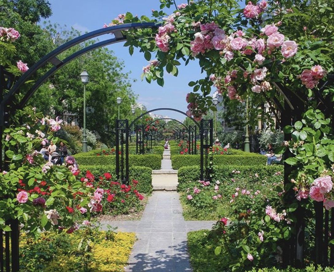 A sunlit pathway through the Parc de Bagatelle rose garden in Paris, framed by black iron arches covered in blooming pink climbing roses, leading through a series of gates flanked by neatly trimmed box hedges, with visitors relaxing on the grass under a bright blue sky
