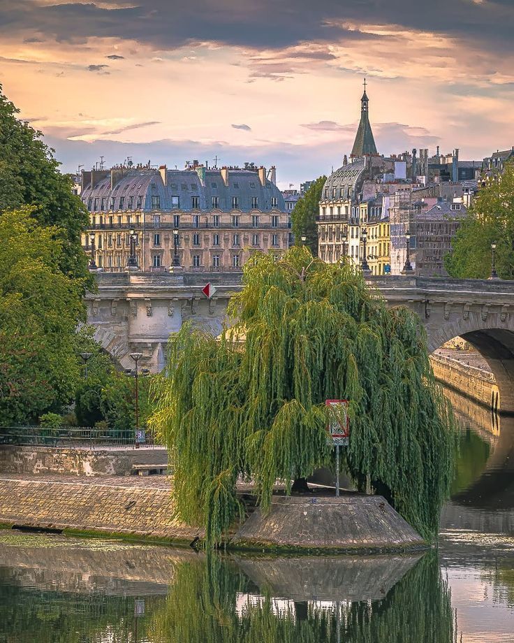 Sunset view over the Seine river in Paris, with a stone bridge, a large weeping willow tree in the foreground, classic Haussmann buildings with slate rooftops, and a church steeple rising above the cityscape under a warm pink and orange sky