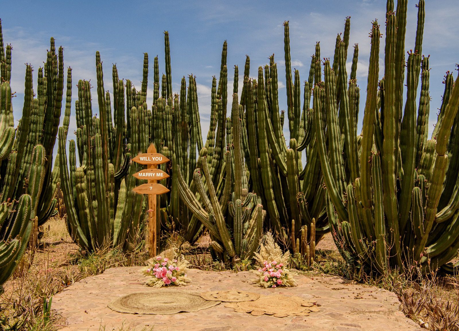 Demande en mariage Cactus Marrakech