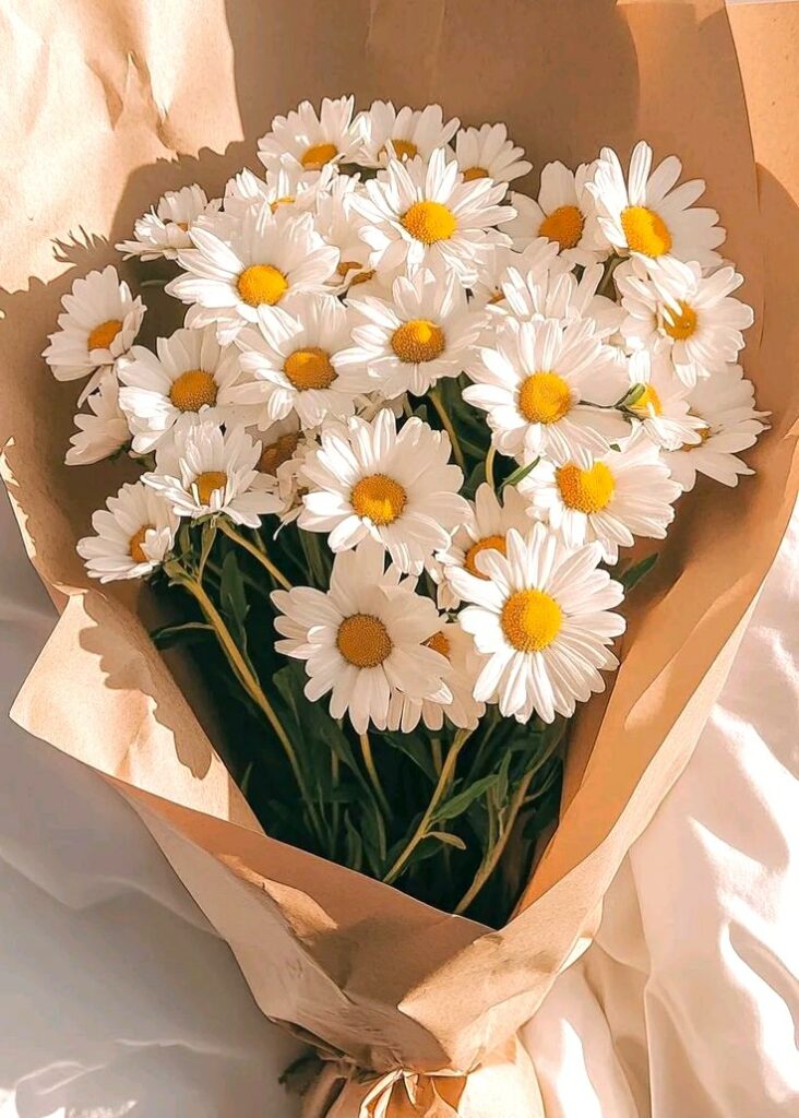 bouquet of daisies