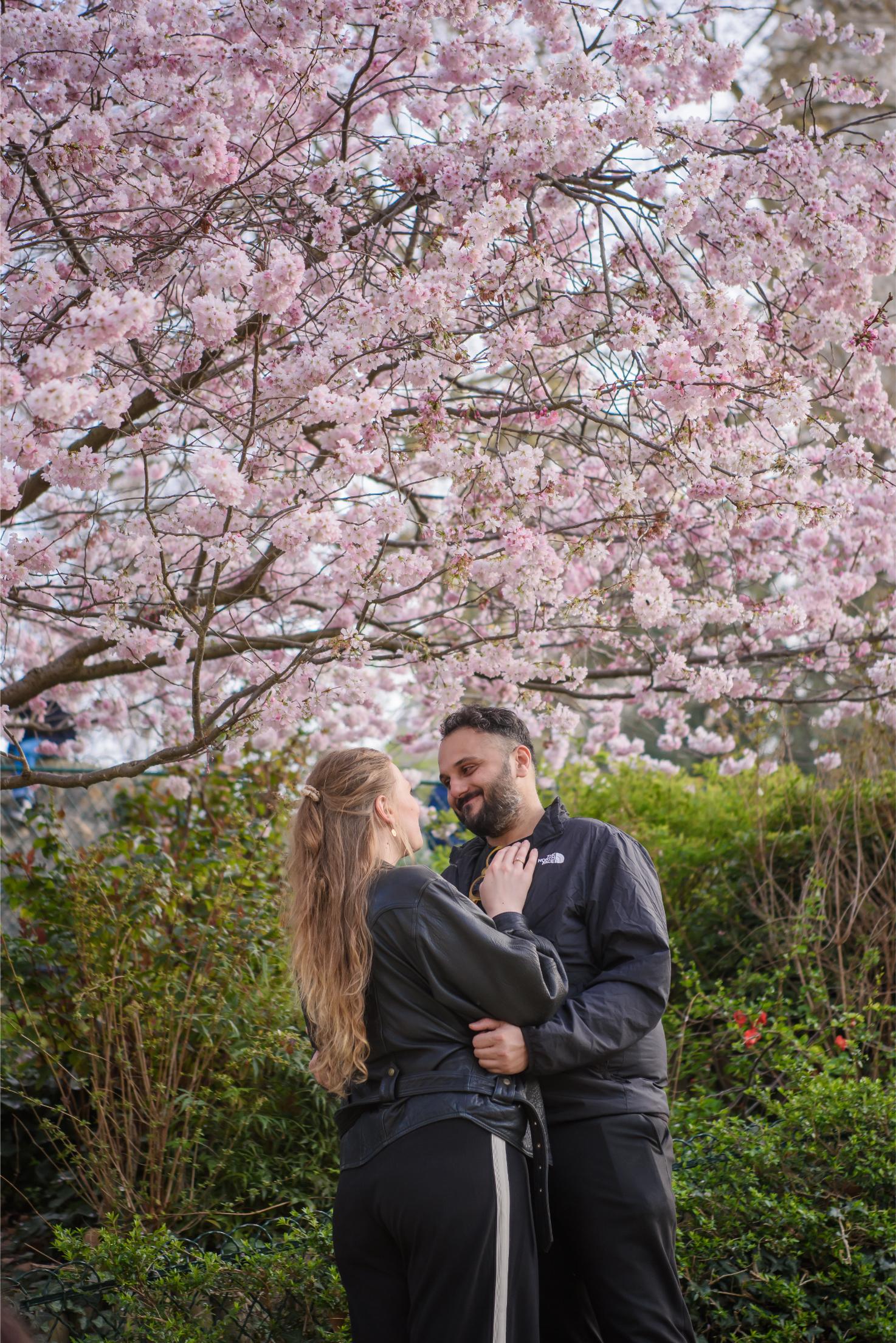 Paris proposal montmartre secret spot cherry blossom